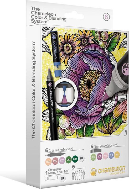 Dunkelgrün, Gelb, Grau, Grün, Hellblau, Rosa, Violett