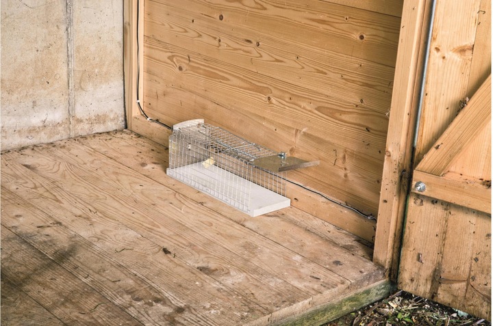 Actual product image Windhager Wire box rat trap 29.5x10.5x12.5cm