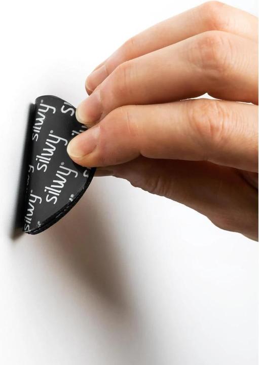 Actual product image Silwy Hook Magnet Pins Flex White, 0.08 kg (1 x)