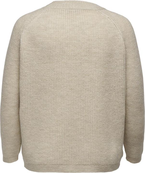 Image du produit Only Pull en maille curvy à manches longues (L)