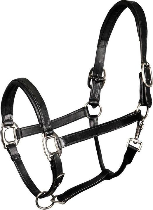 Shires Velociti Rapida Cavezza Imbottita In Pelle Per Cavallo - Pro Series Plus