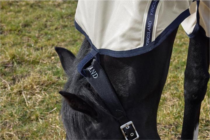 Produktbild Kingsland Fliegendecke KLLando (155 cm)