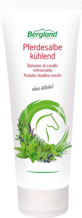 Produktbild Bergland Pferdesalbe Kuehlend (1 x, 100 ml)