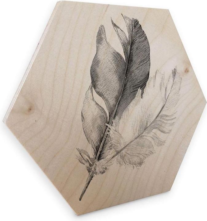 Actual product image Trenddeko Springs (25 x 22 cm)