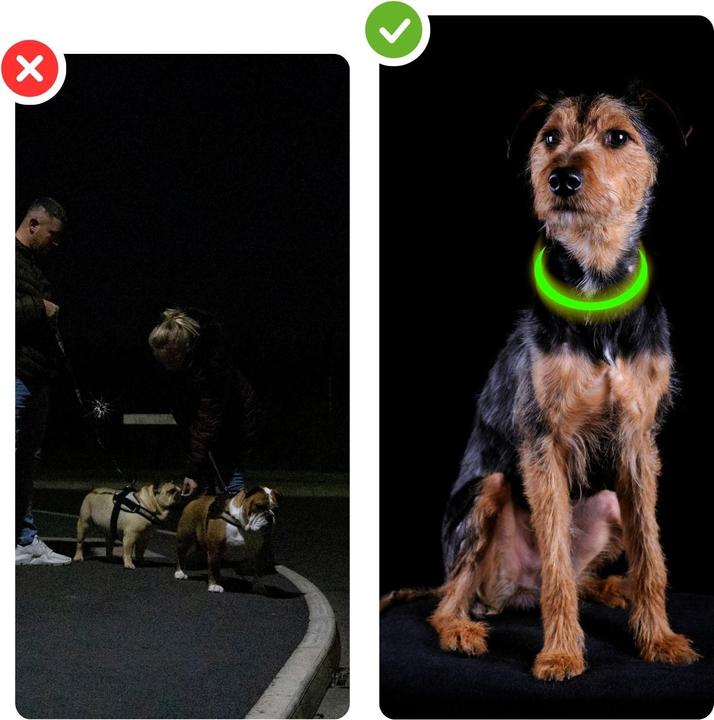 Actual product image Hermex LED dog collar (Dog, General)