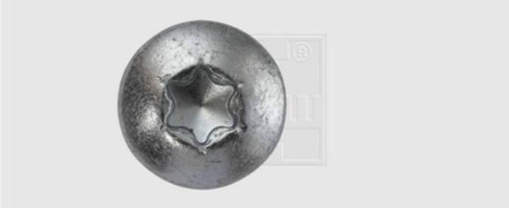 Actual product image SWG Wood screw 4 mm 40 mm internal multi-tooth galvanised steel 200 pcs. (200 Screws per piece)