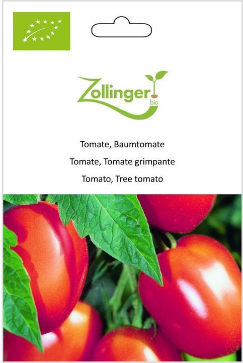 Produktbild Zollinger Bio Tomate, Baumtomate (Samenbomben)