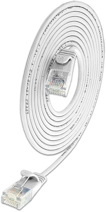 Actual product image Lightwin Network cable (UTP, CAT6, 1 m)