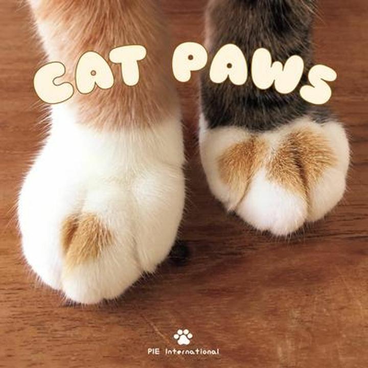 Image du produit Cat Paws (Anglais, PIE International, 2018)