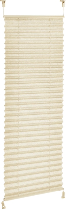 Produktbild Neu.Haus Plissee (50 x 100 cm)