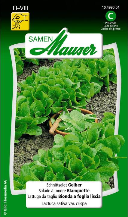 Image du produit Samen Mauser Jaune (Graines de légumes)