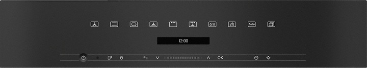Actual product image Miele H 7164 BP
