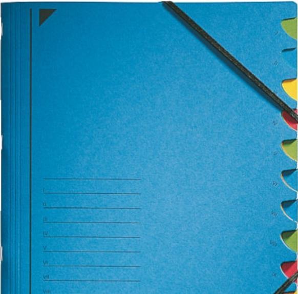 Actual product image Leitz Folder (A4, 1x)