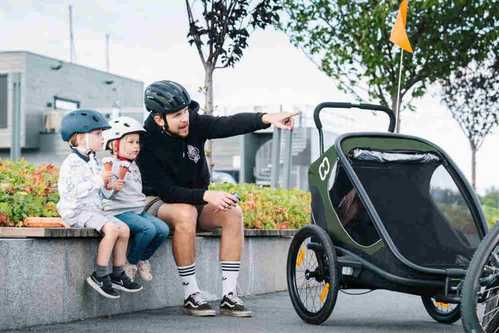 Actual product image hamax Outback 2 in 1