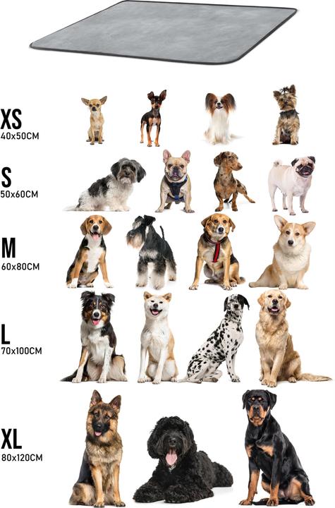 Actual product image Aspero Dog blanket Lund (Dog)