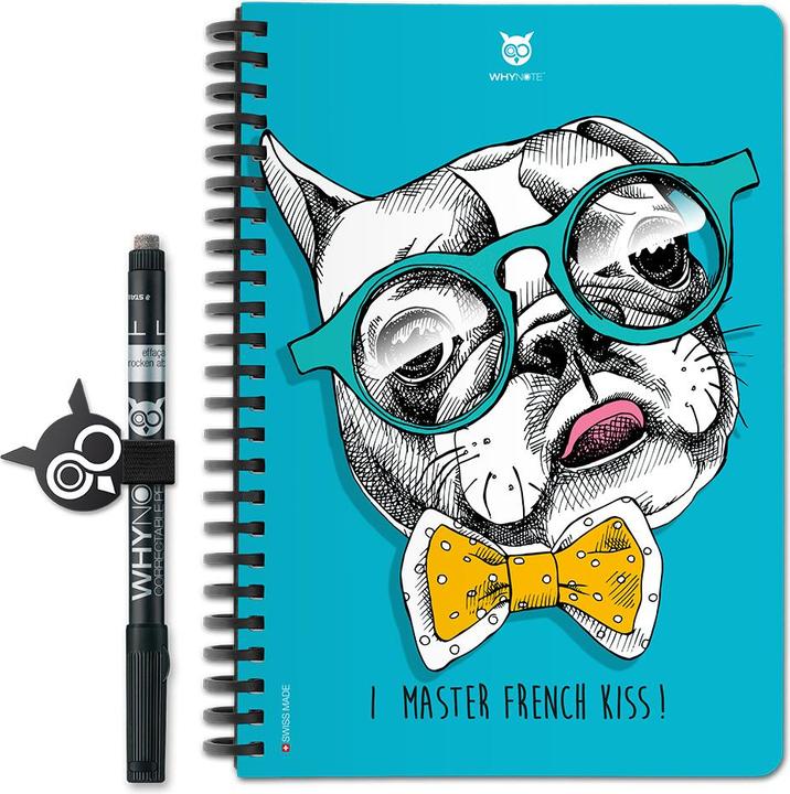 French bulldog