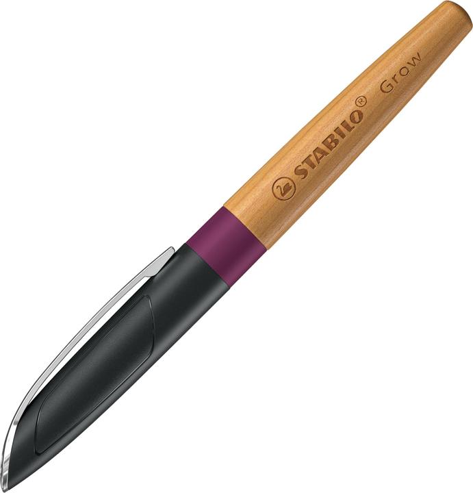 Actual product image STABILO Fountain pen Grow (Cherry, Plum, 1x)