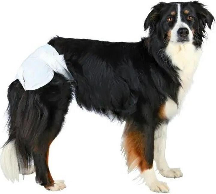 Immagine prodotto Trixie Pannolini per cagne (Cane)