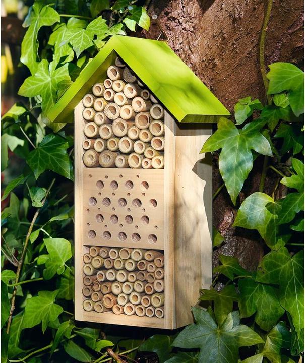 Immagine prodotto Spedizione Natura (Api)