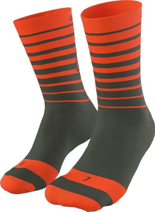 Image du produit Dynafit Chaussettes Live To Ride (43, 44, 45, 46)