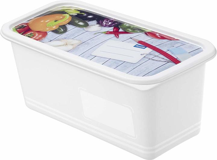 Actual product image Rotho Freezing box (1.50 l)