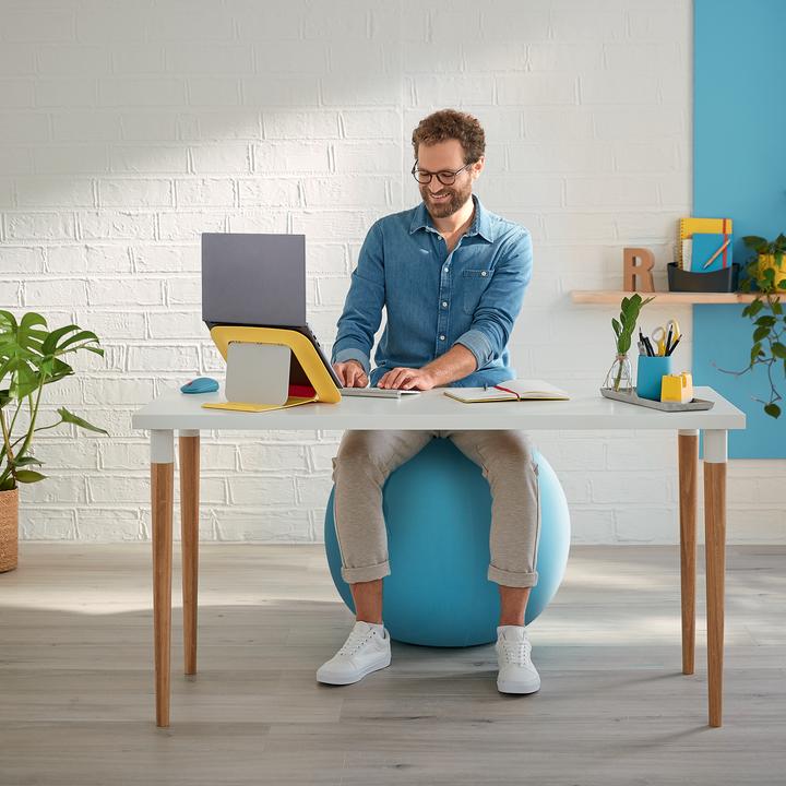 Productafbeelding Leitz Ergo Cosy zitbal (65 cm)