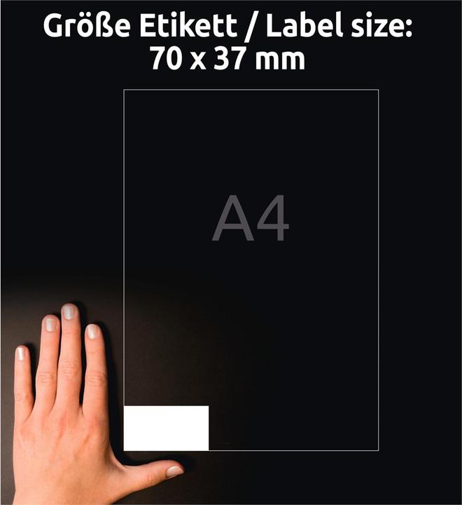 Actual product image Avery Weatherproof film labels