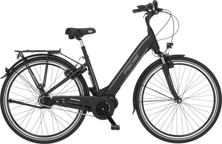 Actual product image Fischer CITA 3.1 (44 cm)
