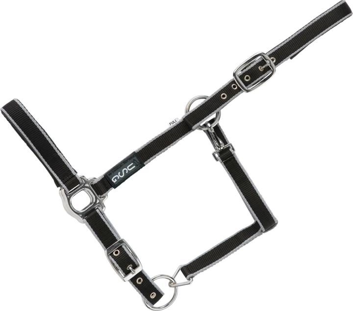 Black/silver coloured