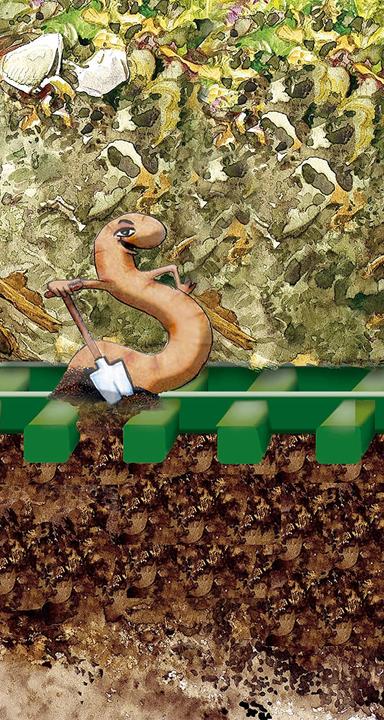 Actual product image Juwel Mice grate for composter