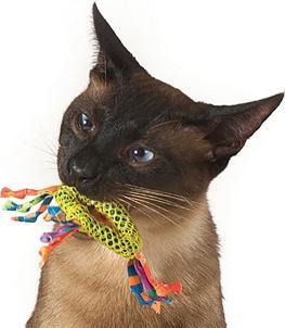 Productafbeelding Petstages Catnip Tandheelkundige Gezondheidskauw (Speelgoed met kattenkruid)