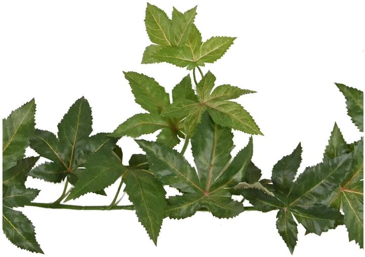 Image du produit Botanic-Haus Kunstpflanze Ahorn Girlande Grün, 180 cm, Produkttyp (180 cm)