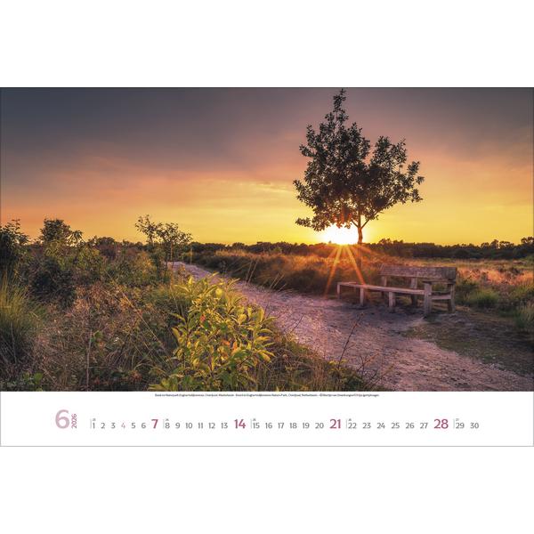 Korsch Lieblingsplätze 2025 (58841370)