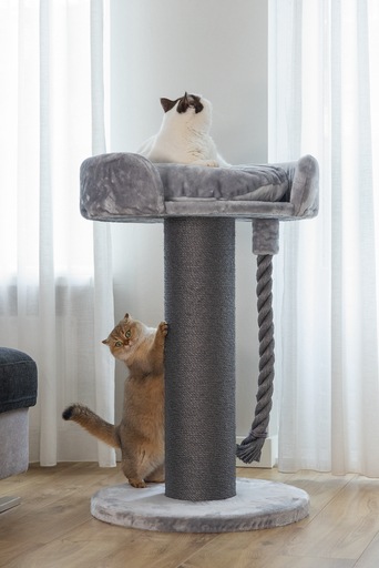 Actual product image Beeztees Bz cat tree Tura (100 cm, Grey)