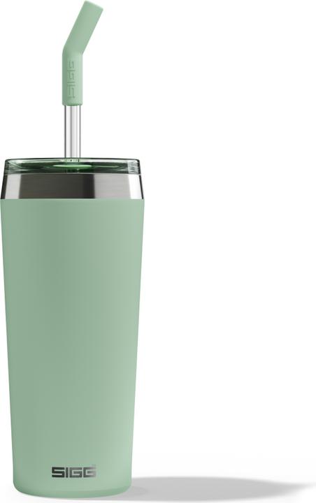 Actual product image Sigg Helia (0.60 l)