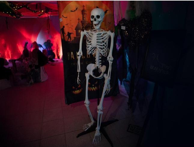 Productafbeelding Europalms Halloween skelet, staand, 150 cm