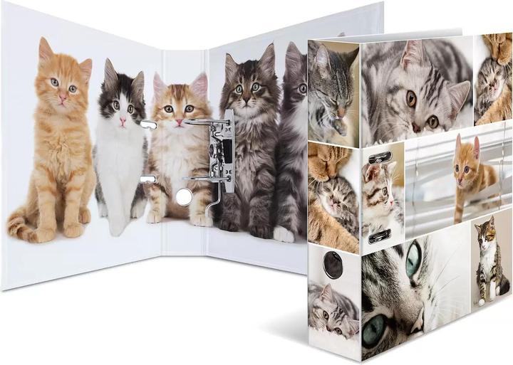 Actual product image HERMA A4 folder motif (A4, 70 mm, 1 pcs.)