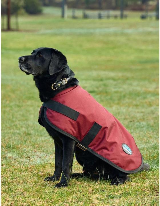 Actual product image Weatherbeeta Comfitec Classic (Dog coat)