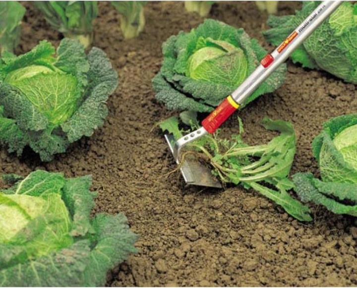 Actual product image Wolf-Garten HW-M Hoe