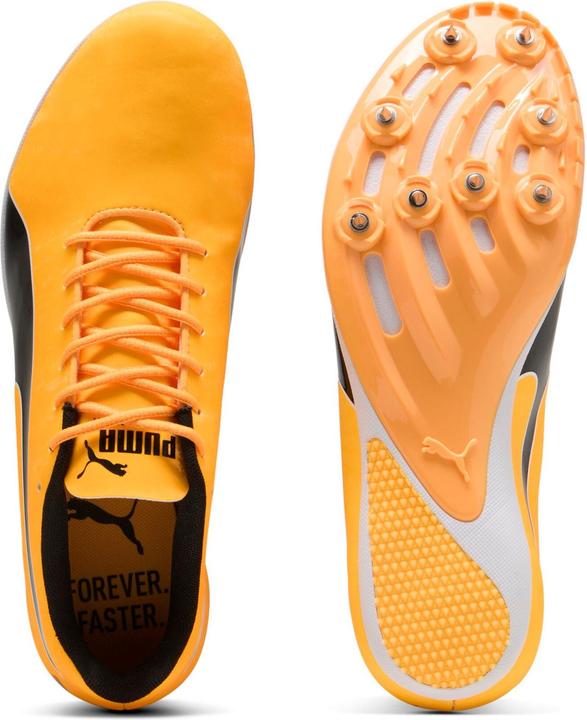 Actual product image Puma evoSPEED Sprint 14.5 (40.5)