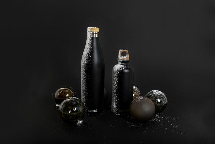 Actual product image Sigg Meridian (0.70 l)