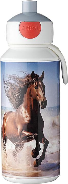 Cheval sauvage