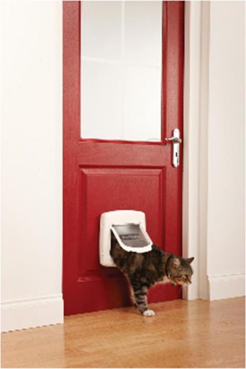 Image du produit Staywell Katzenklappe (Chatière magnétique)