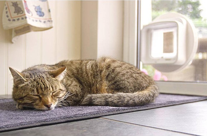 Productafbeelding SureFlap Kattendeur met dubbele scan (Microchip kattenluikje)