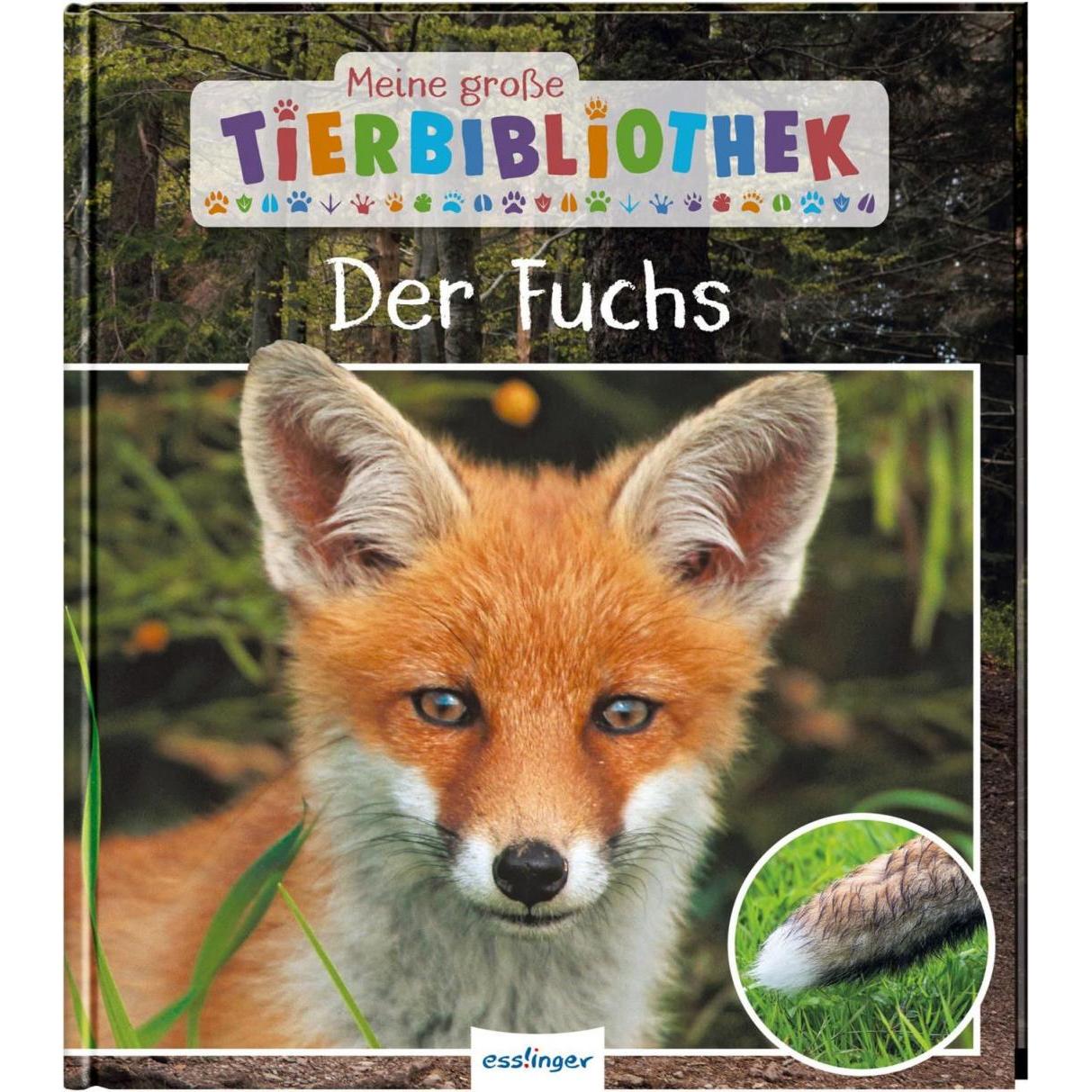 Meine grosse Tierbibliothek: Der Fuchs, Kinderbücher von Christian Havard