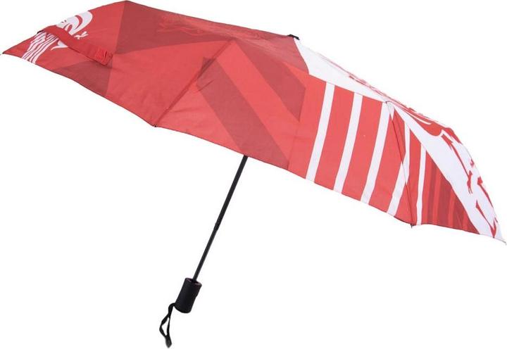 Actual product image Score Draw Folding Umbrella