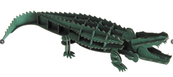 Produktbild Fridolin 3-D Papiermodell "Krokodil"