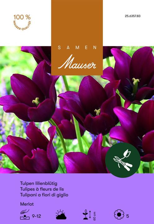 Produktbild Samen Mauser Merlot (Blumenzwiebeln)