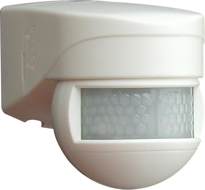 Actual product image BEG B.E.G. 93541 (10 m)