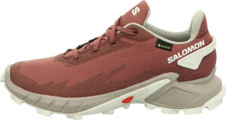 Produktbild Salomon Alphacross 4 GTX - 57155 (37 1/3)